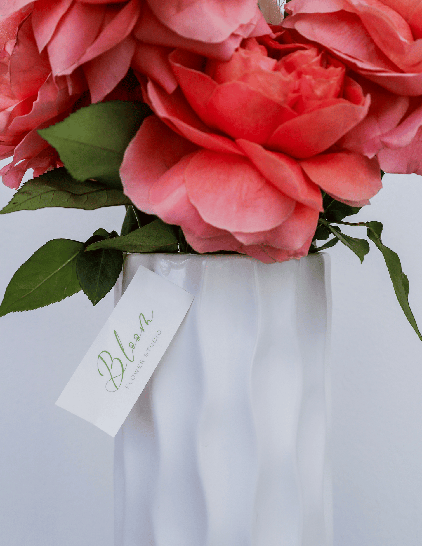 Pink Tropical Miami Vibe