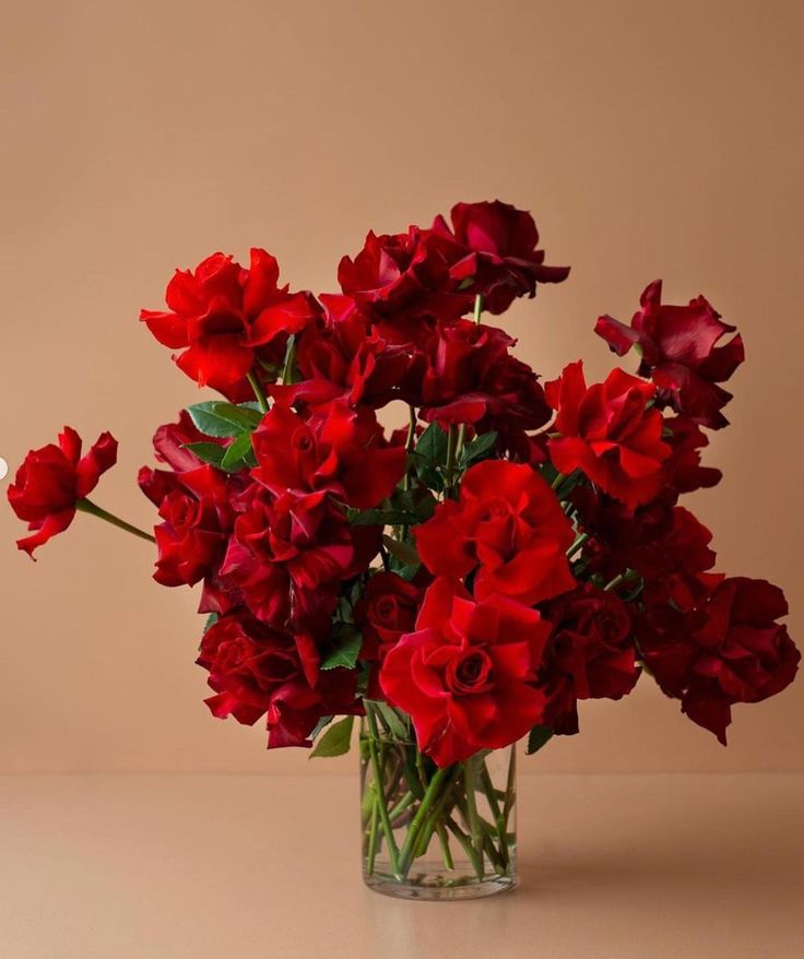 Red Roses