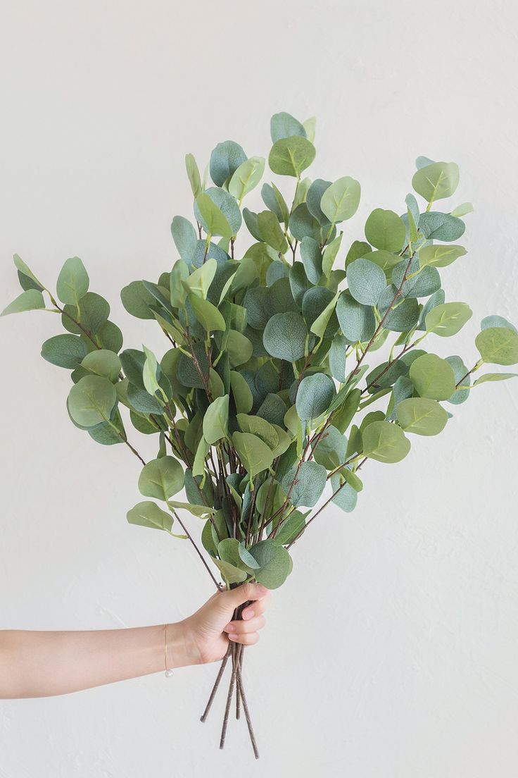 Add More Greenery