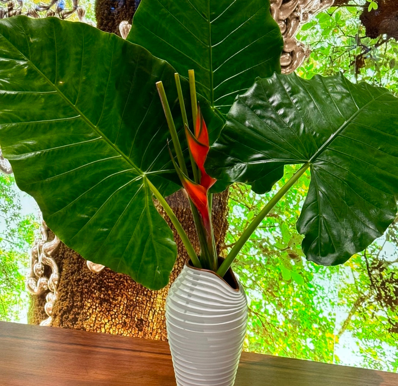 Tropical Arrangement