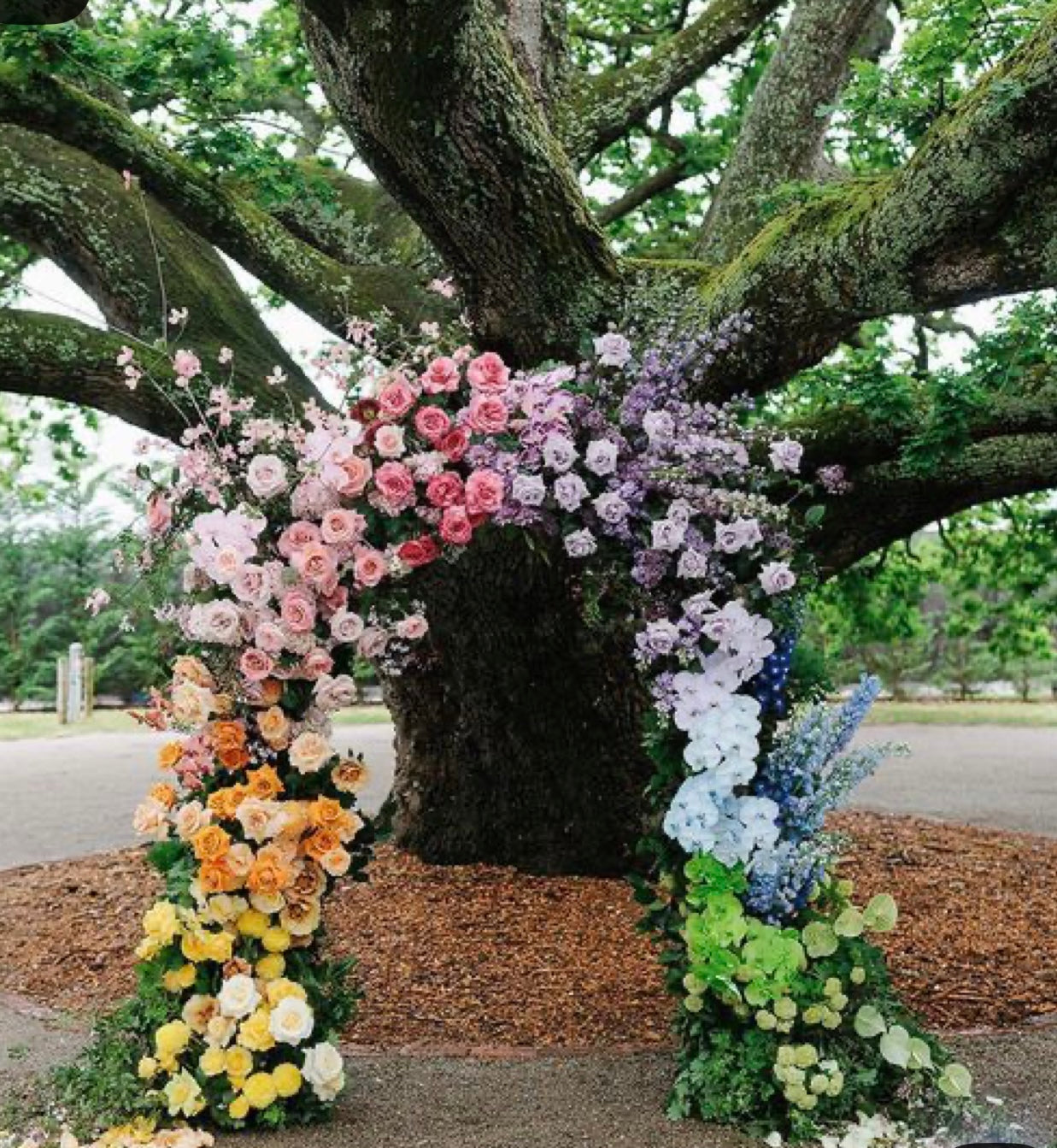 Custom Floral Rainbow Arch