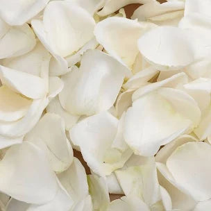 White Petals (Aisle Ceremony)