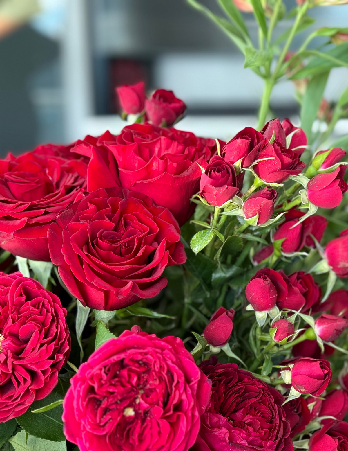 Bloom Premium Roses Mix of Premium Roses With Vase – Bloomflowerstudio