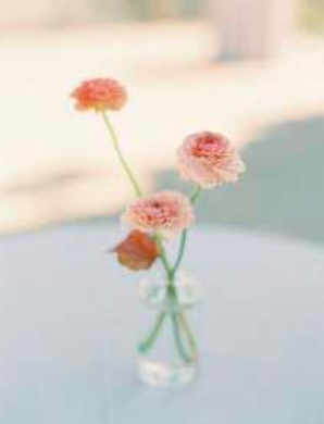 Centerpiece Cocktail Table