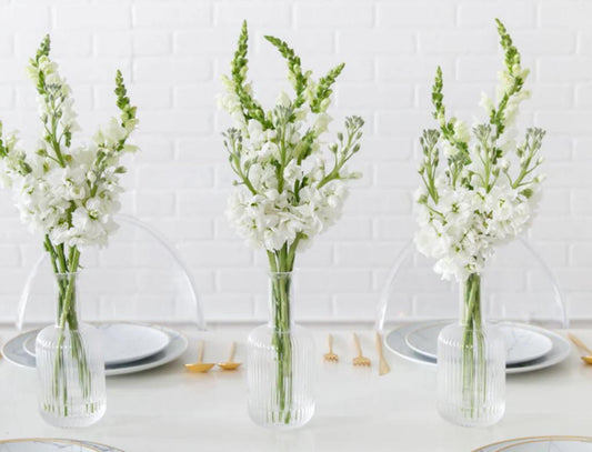 Bud vases for table of 40pp