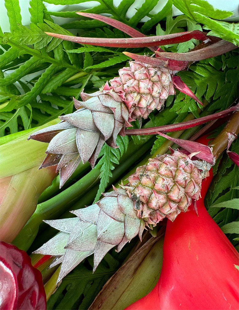 Exotic Tropical Arrangements