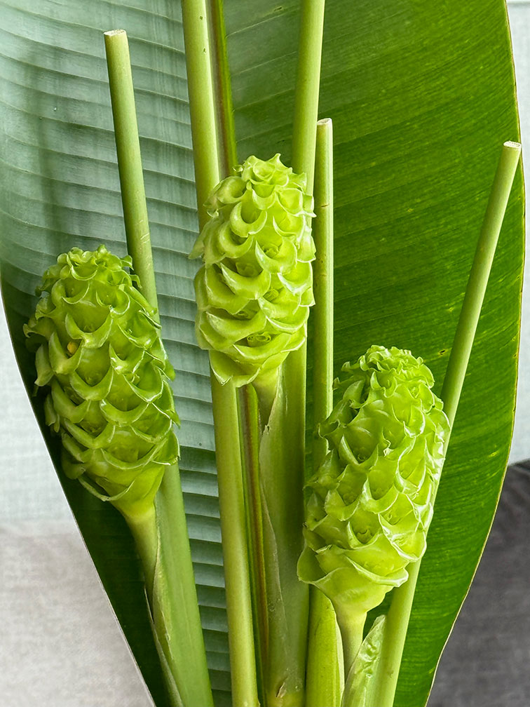 Hielo verde